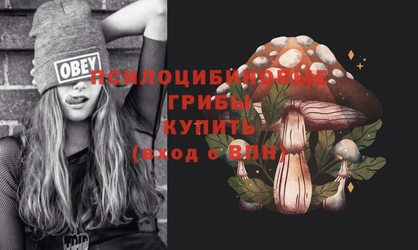 Альфа ПВП Балабаново