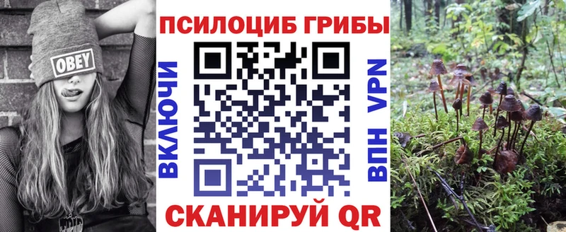 Галлюциногенные грибы Magic Shrooms Магас